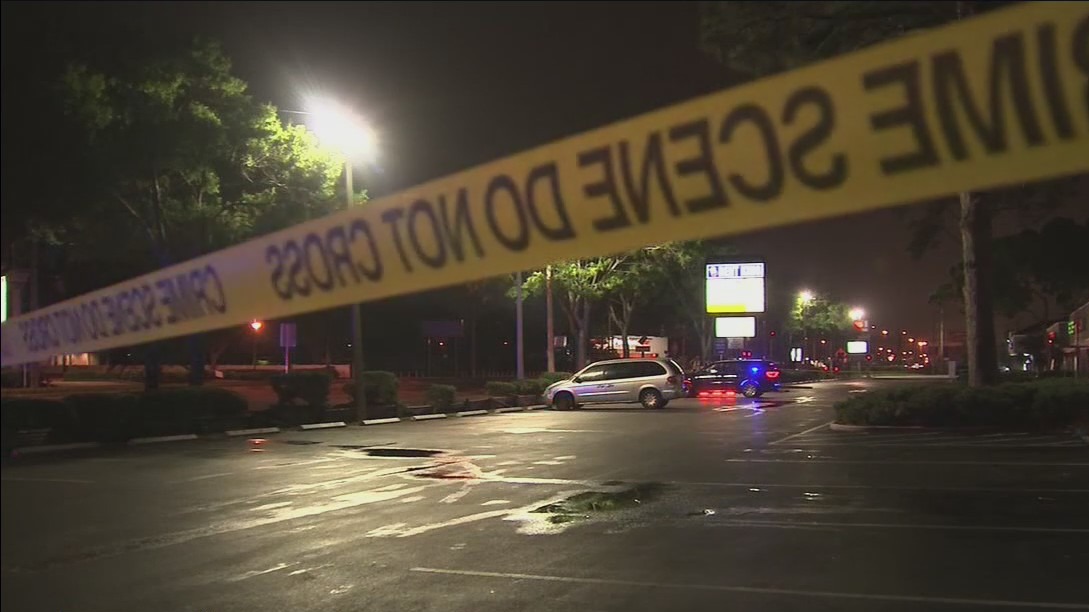 Traffic deaths increase in Tampa Bay